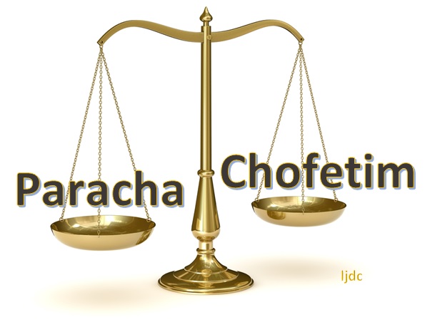 paracha-chofetim