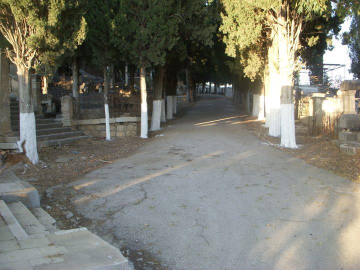 Le cimetière de Constantine